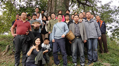 采“橘”東籬下，悠然見南（nán）山